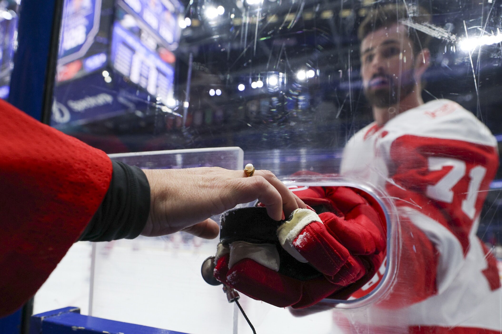 Dylan Larkin'in takası Wild'ı Sophie'nin Seçimi Minnesota Wild'ı almaya zorlayacak