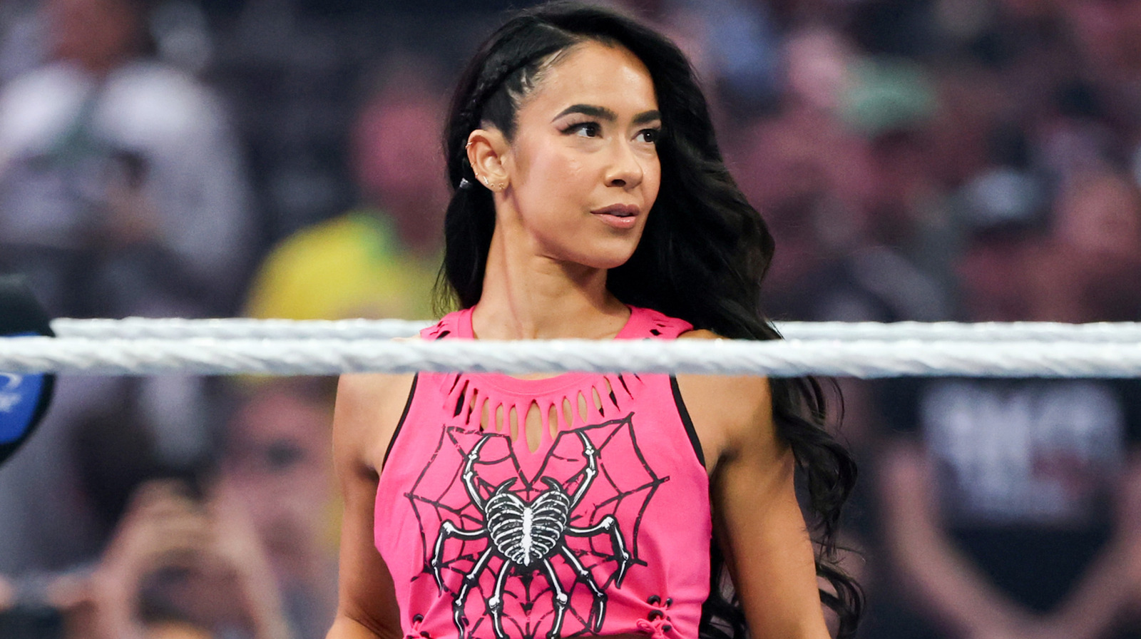 Eski WWE Süperstarı Kaitlyn, eski Divas Şampiyonları AJ Lee ve Paige'in dönüşü hakkında yorum yaptı