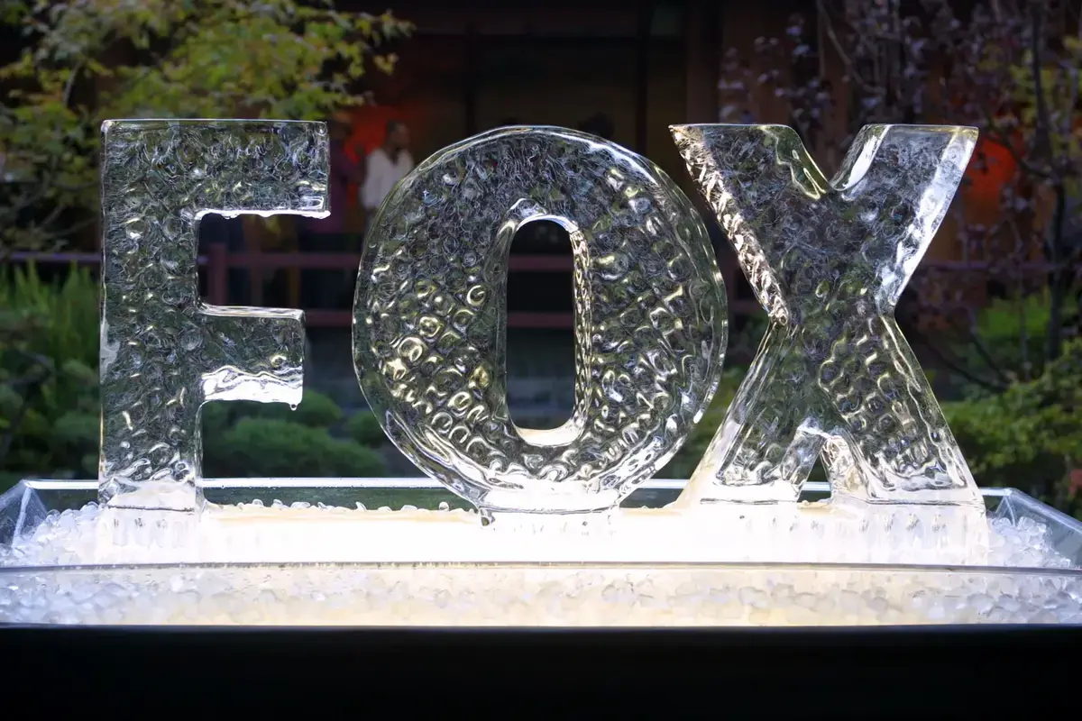 Fox, ROKU'yu satın aldı