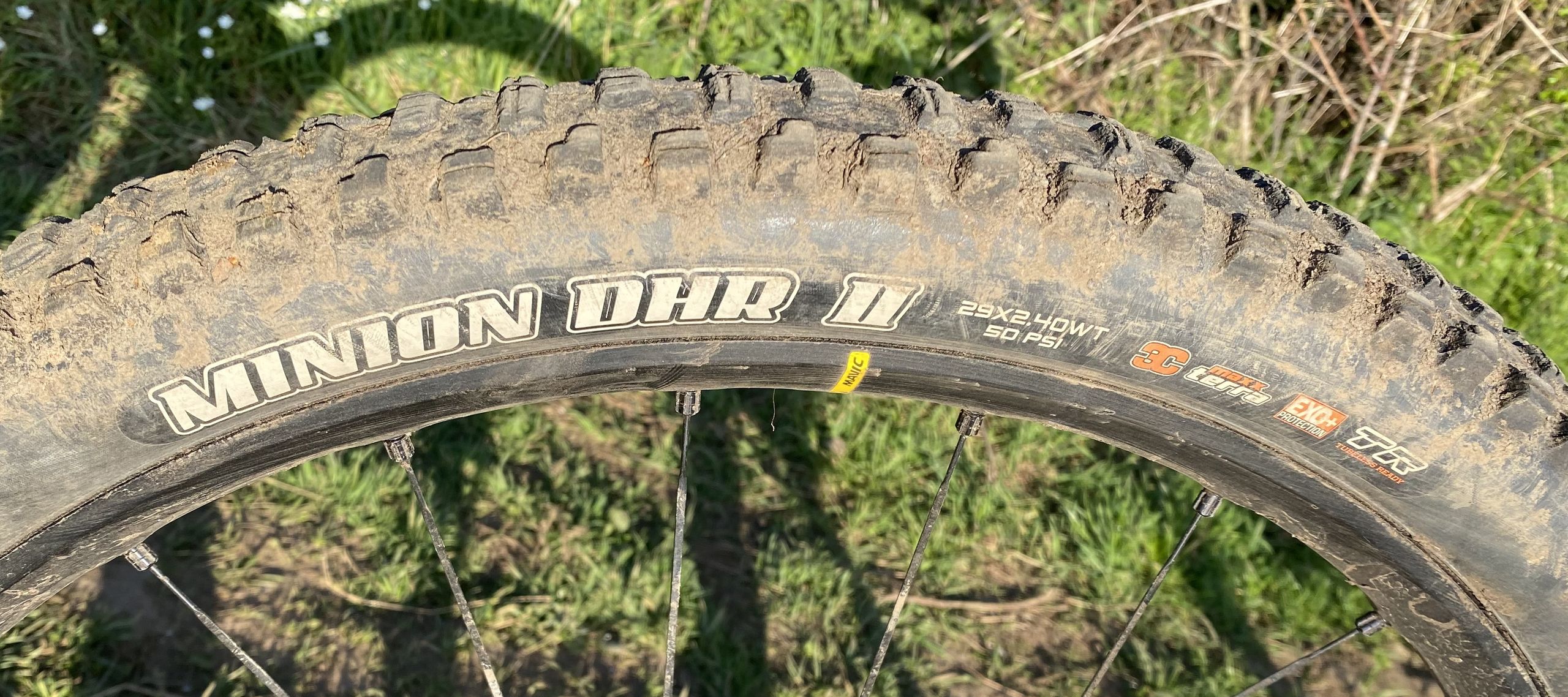 Maxxis Minion DHR II incelemesi