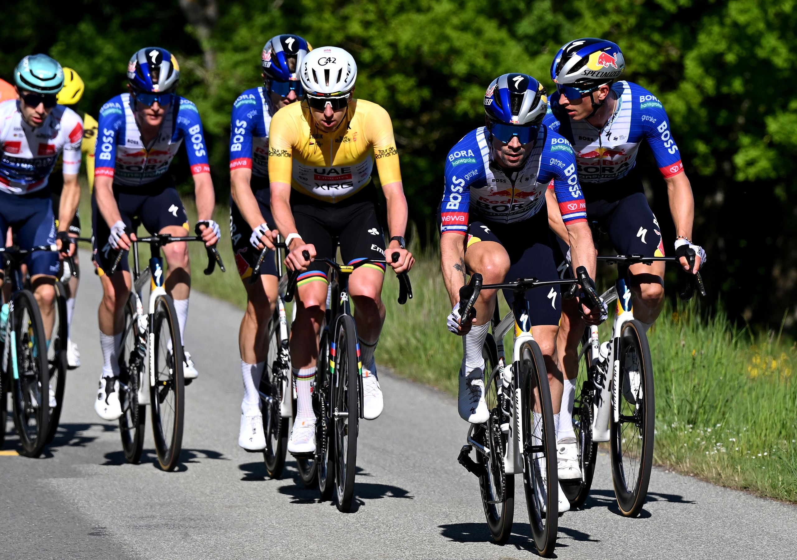 Primož Roglič, Tour de Suisse'de Tadej Pogačar'ı yenerek yedi büyük bir haftalık bisiklet yarışında tüm GC şampiyonluklarını takip ediyor