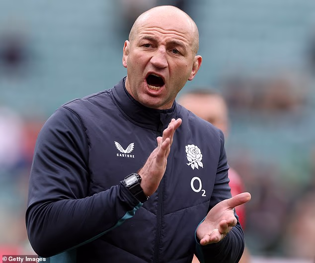 Bill Sweeney ve RFU'daki meslektaşlarının geleceği hakkında bir karar vermesini beklemek zorunda kalmak İngiltere menajeri Steve Borthwick'e hakarettir...