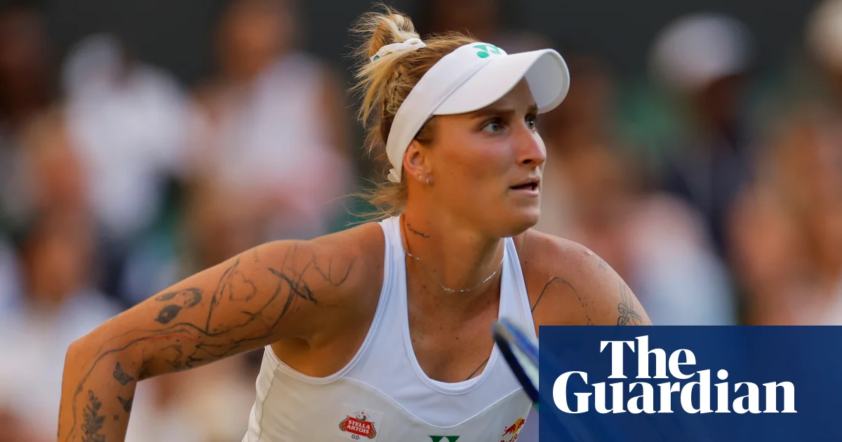 Tomljanoviç anti-doping şeflerini Vondrousova'nın tenis yasağı sonrasında oyuncu getirmeye çalışmakla suçluyor