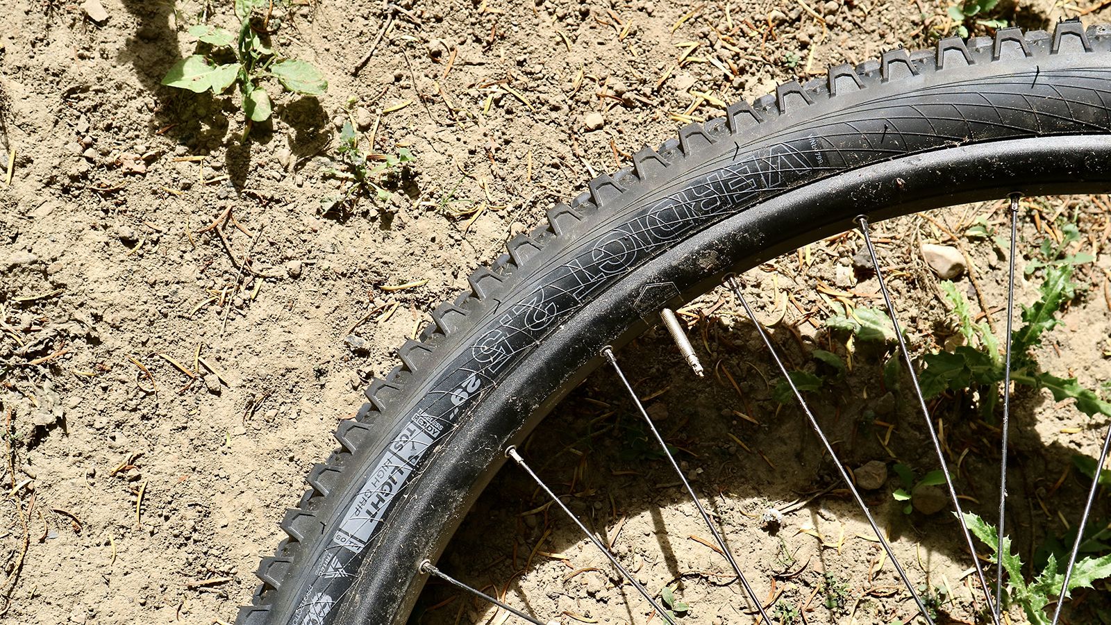 WTB Verdict TCS Light High Grip