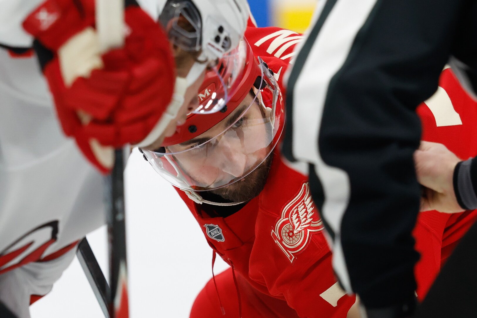 Wilderness'ın Dylan Larkin'e inmeye yetecek kadarı yok - Wilderness Walk